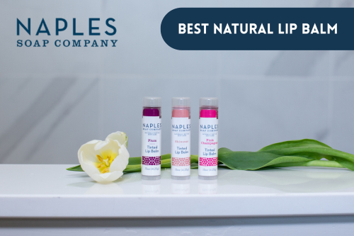 5 Best Natural Lip Balm Picks for Daily Lip Care