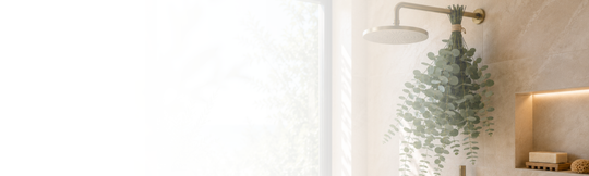 Eucalyptus Desktop Scent Banner