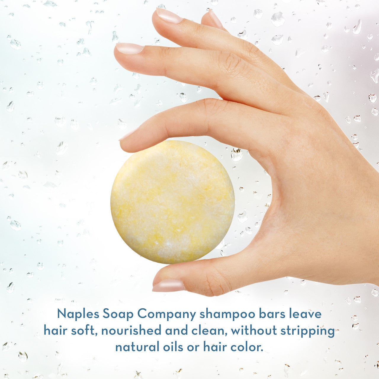 shampoo bars without palm oil or coconut oil Coconut Water Shampoo Bar