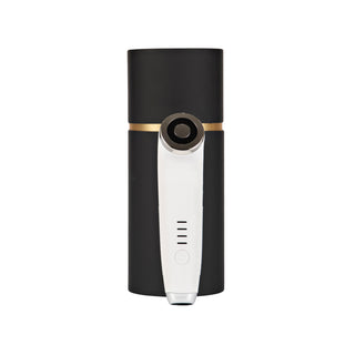 LED Therapy Facial Massager