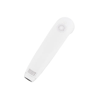 LED Therapy Facial Massager