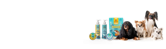 Pet Care & Treats