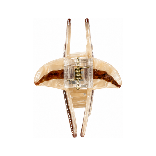 Starfish hair Clip - Brown - Back