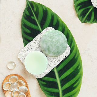 Stimulating Hair Bar Set